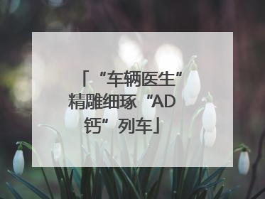 “车辆医生”精雕细琢“AD钙”列车