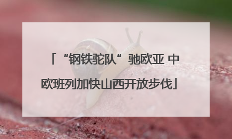 “钢铁驼队”驰欧亚 中欧班列加快山西开放步伐