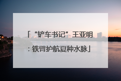 “铲车书记”王亚明：铁臂护航夏种水脉