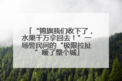 “锦旗我们收下了，水果千万拿回去！”一场警民间的“极限拉扯”暖了整个城
