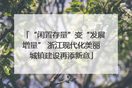 “闲置存量”变“发展增量” 浙江现代化美丽城镇建设再添新意