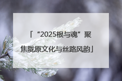 “2025根与魂”聚焦陇原文化与丝路风韵