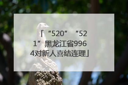 “520”“521”黑龙江省9964对新人喜结连理