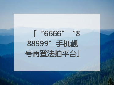 “6666”“888999”手机靓号再登法拍平台