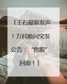 王石最新发声！万科晚间突发公告：“售股”回血！