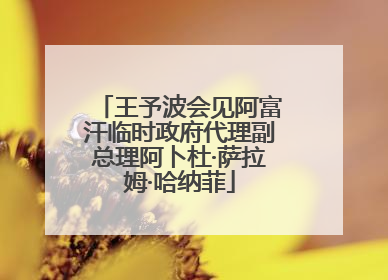 王予波会见阿富汗临时政府代理副总理阿卜杜·萨拉姆·哈纳菲