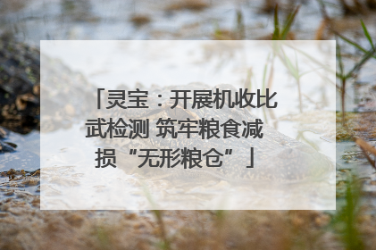灵宝：开展机收比武检测 筑牢粮食减损“无形粮仓”