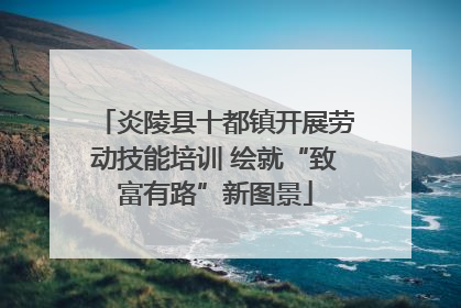 炎陵县十都镇开展劳动技能培训 绘就“致富有路”新图景