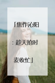 焦作沁阳：趁天抢时麦收忙
