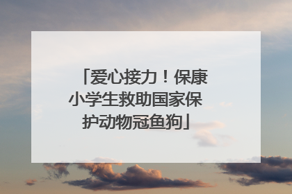 爱心接力！保康小学生救助国家保护动物冠鱼狗