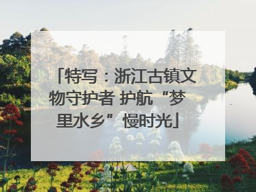 特写：浙江古镇文物守护者 护航“梦里水乡”慢时光