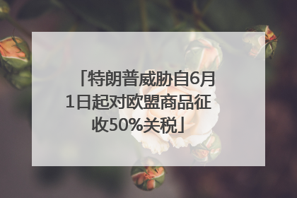 特朗普威胁自6月1日起对欧盟商品征收50%关税