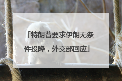 特朗普要求伊朗无条件投降，外交部回应