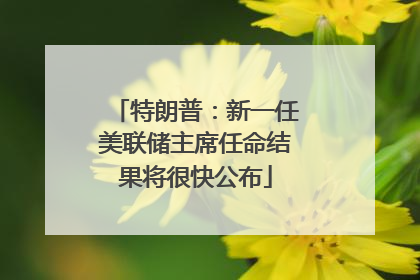 特朗普：新一任美联储主席任命结果将很快公布