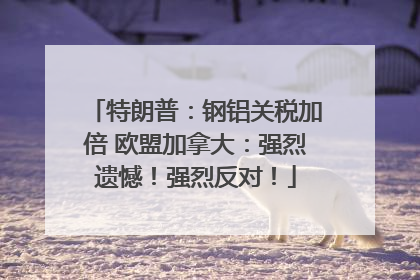 特朗普：钢铝关税加倍 欧盟加拿大：强烈遗憾！强烈反对！