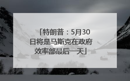 特朗普：5月30日将是马斯克在政府效率部最后一天