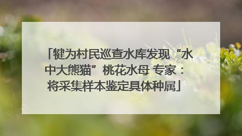 犍为村民巡查水库发现“水中大熊猫”桃花水母 专家：将采集样本鉴定具体种属