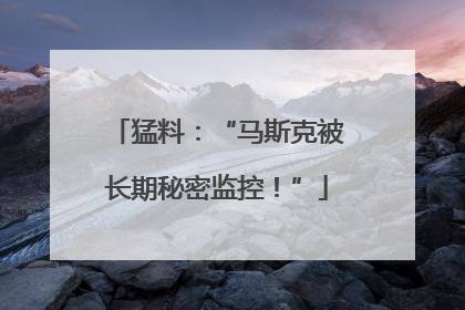 猛料：“马斯克被长期秘密监控！”