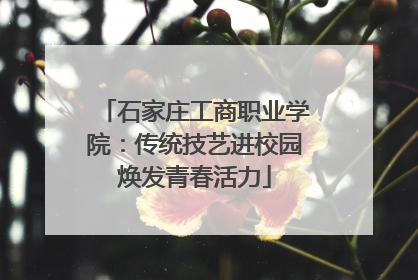 石家庄工商职业学院：传统技艺进校园焕发青春活力