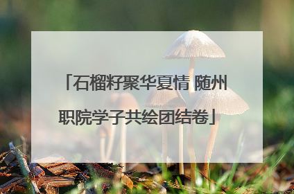石榴籽聚华夏情 随州职院学子共绘团结卷