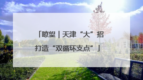 瞭望｜天津“大”招打造“双循环支点”