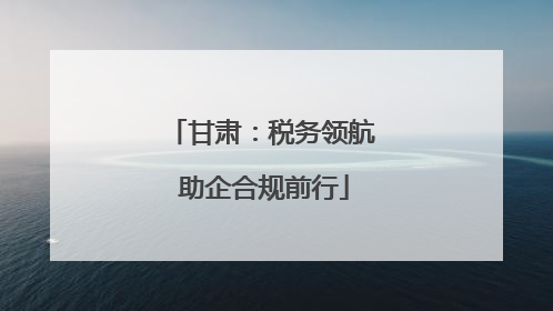 甘肃：税务领航 助企合规前行