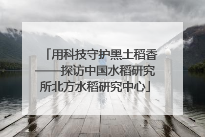 用科技守护黑土稻香——探访中国水稻研究所北方水稻研究中心