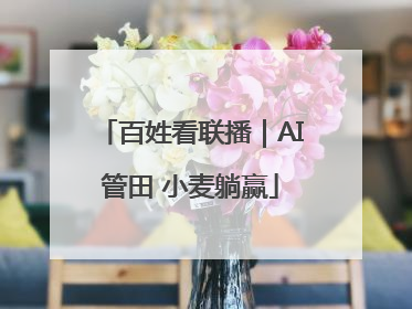 百姓看联播｜AI管田 小麦躺赢