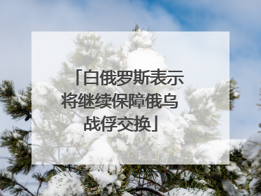 白俄罗斯表示将继续保障俄乌战俘交换