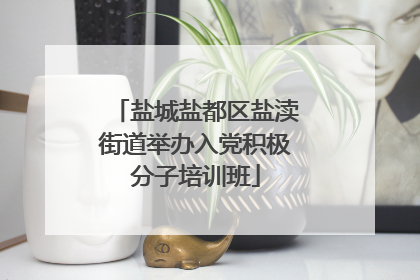 盐城盐都区盐渎街道举办入党积极分子培训班