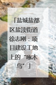 盐城盐都区盐渎街道徐志刚：项目建设工地上的“啄木鸟”