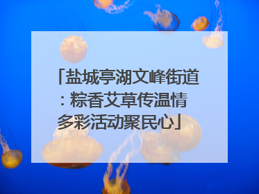 盐城亭湖文峰街道：粽香艾草传温情 多彩活动聚民心