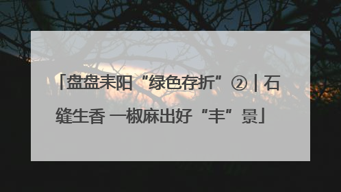 盘盘耒阳“绿色存折”②｜石缝生香 一椒麻出好“丰”景
