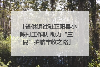 省供销社驻正阳县小陈村工作队 助力“三夏”护航丰收之路