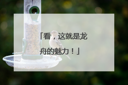 看，这就是龙舟的魅力！
