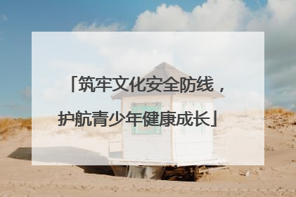 筑牢文化安全防线，护航青少年健康成长