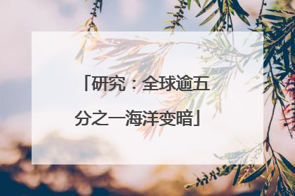 研究：全球逾五分之一海洋变暗