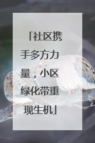 社区携手多方力量，小区绿化带重现生机