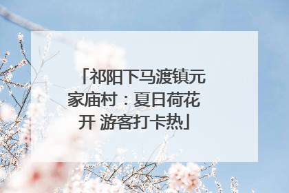 祁阳下马渡镇元家庙村：夏日荷花开 游客打卡热