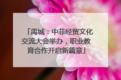 禹城：中菲经贸文化交流大会举办，职业教育合作开启新篇章
