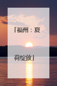 福州：夏荷绽放