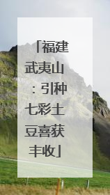 福建武夷山：引种七彩土豆喜获丰收
