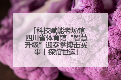 科技赋能老场馆 四川省体育馆“智慧升级”迎泰拳搏击赛事丨探馆世运