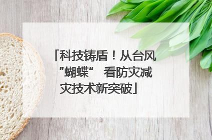 科技铸盾！从台风“蝴蝶” 看防灾减灾技术新突破