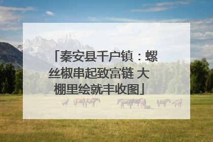 秦安县千户镇：螺丝椒串起致富链 大棚里绘就丰收图