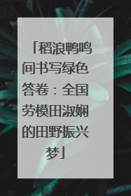 稻浪鸭鸣间书写绿色答卷：全国劳模田淑娴的田野振兴梦