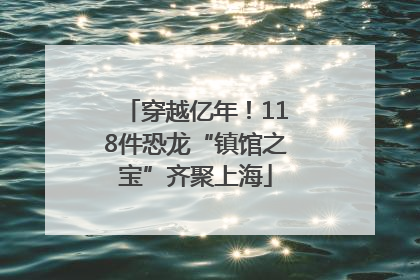 穿越亿年！118件恐龙“镇馆之宝”齐聚上海