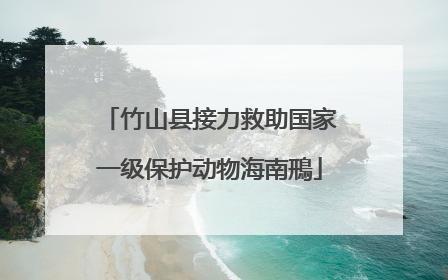竹山县接力救助国家一级保护动物海南鳽