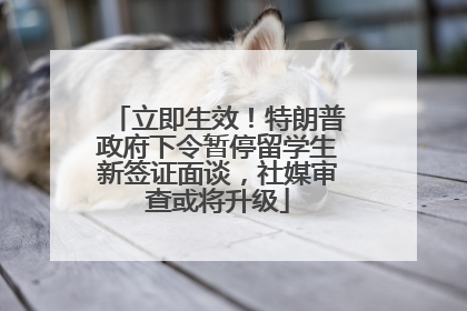 立即生效！特朗普政府下令暂停留学生新签证面谈，社媒审查或将升级