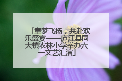 童梦飞扬，共赴欢乐盛宴——庐江县同大镇农林小学举办六一文艺汇演